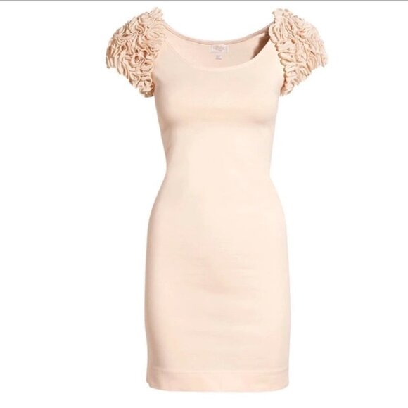 H&M NWT paste pink The Garden Collection bodycon mini dress puffy floral sleeves - Picture 1 of 15